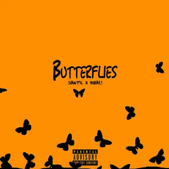 Butterflies by Santic