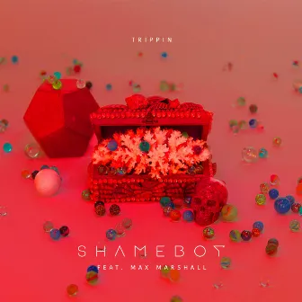 Trippin (feat. Max Marshall) by Shameboy