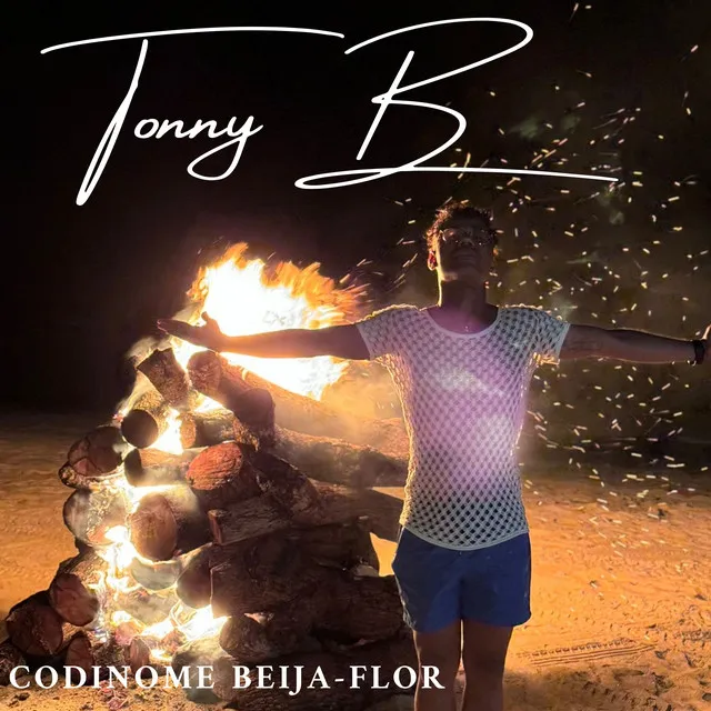 Codinome Beija - Flor - Cover