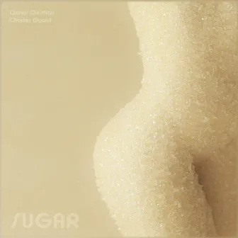 Sugar by Charles Goold