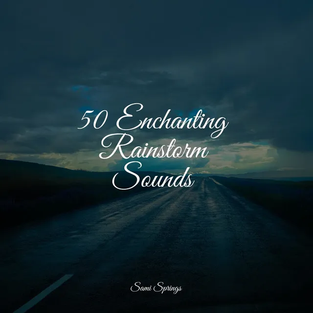 50 Enchanting Rainstorm Sounds