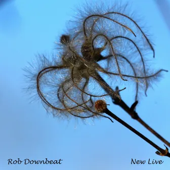 New Live (Radio Edit) by Rob Downbeat