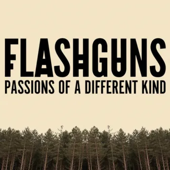 Passions of a Different Kind by Flashguns