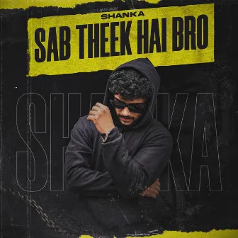 SAB THEEK HAI BRO by Shanka