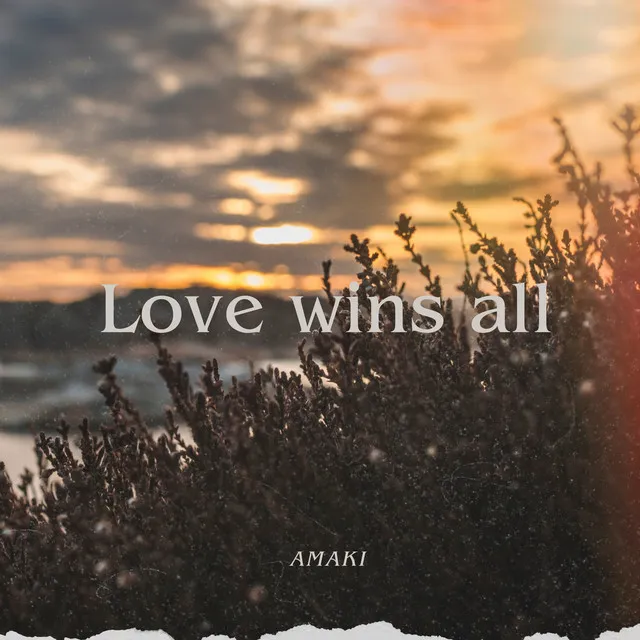 Love Wins All