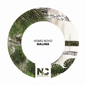 Galina by Homo Novo