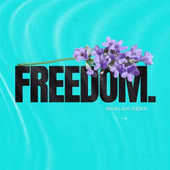 FREEDOM. by Shirlvin Desir