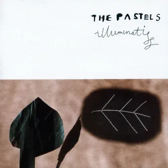 Illuminati by The Pastels