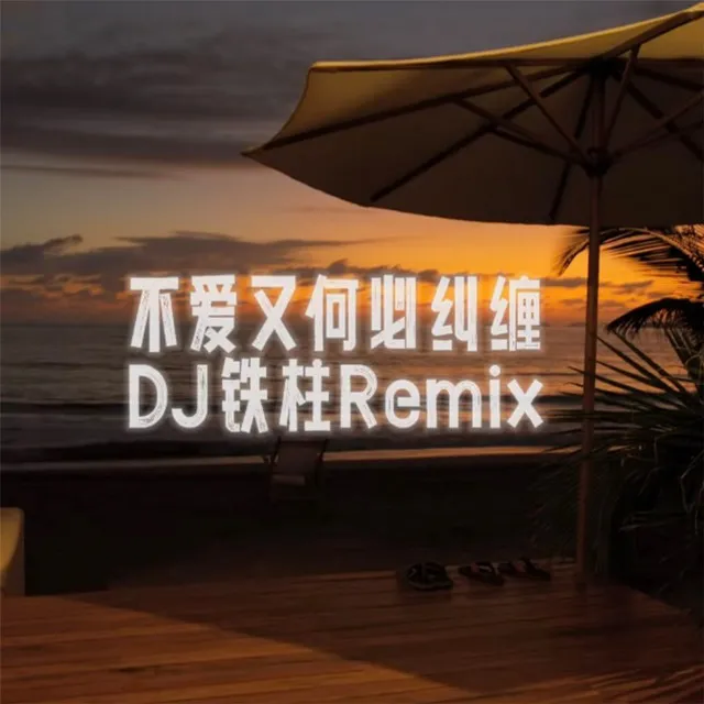 不爱又何必纠缠 - DJ铁柱Remix版