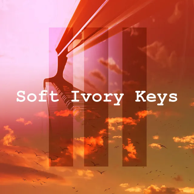 Soft Ivory Keys