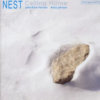 Calling Home by Nest