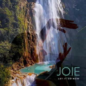 LET IT GO NOW by Joie de Winter