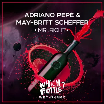 Mr. Right by May-Britt Scheffer