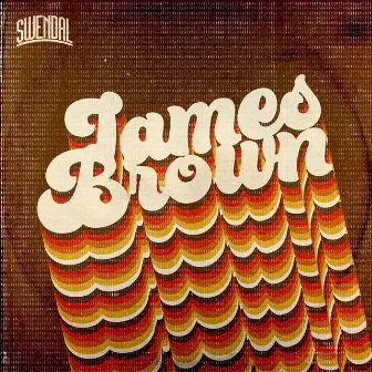 James Brown by Swendal