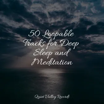 50 Loopable Tracks for Deep Sleep and Meditation by Instrumental