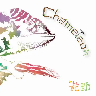 Chameleon by Kano