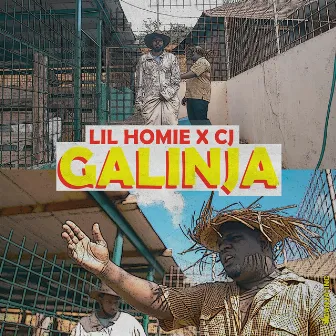 Galinja (Kwe) [feat. CJ] by Lil Homie