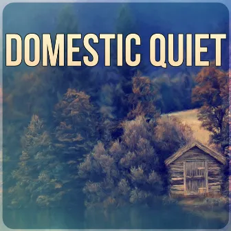 Domestic Quiet - Insomnia Therapy, Relax & New Age Music, Instrumental Music with Nature Sounds for Massage Therapy & Intimate Moments, Amazing Home Spa by Instrumental Background Music Ensemble