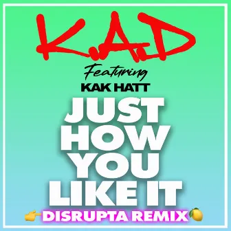 Just How You Like (Disrupta Remix) by Kak Hatt