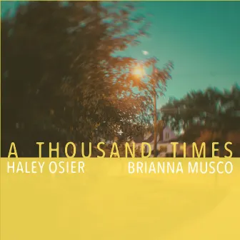 A Thousand Times by Haley Osier