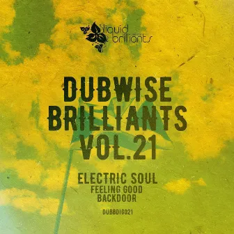 Dubwise Brilliants, Vol. 21 by Electric Soul