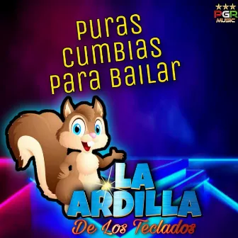 Puras Cumbias Para bailar by La Ardilla De Los Teclados