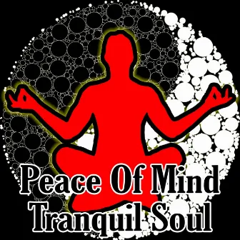 Peace Of Mind Tranquil Soul by Meditation Masters