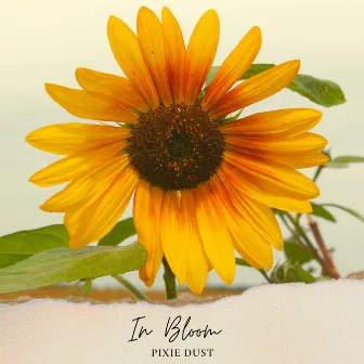 In Bloom by Pixie Dust