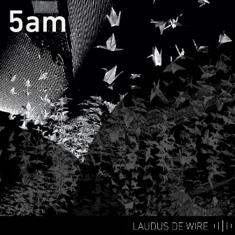 5am by Laudus de Wire