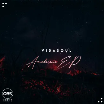 Amadamara EP by Vida-Soul