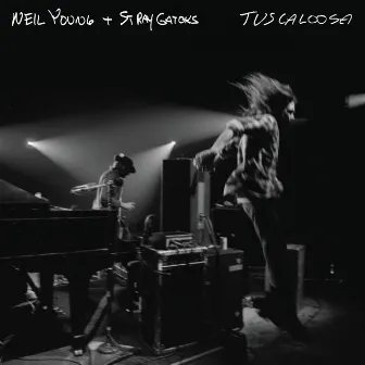 Tuscaloosa (Live) by Stray Gators