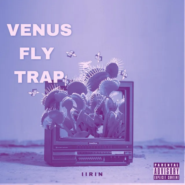 VENUS FLY TRAP