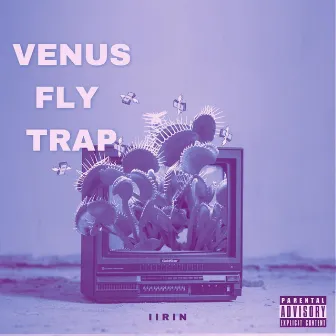 VENUS FLY TRAP by IIRIN