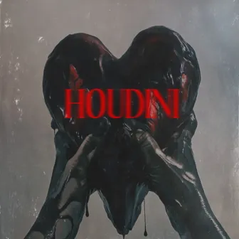 Houdini by Stamer