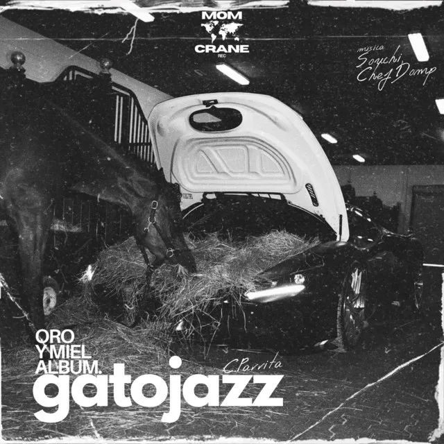 Gatojazz