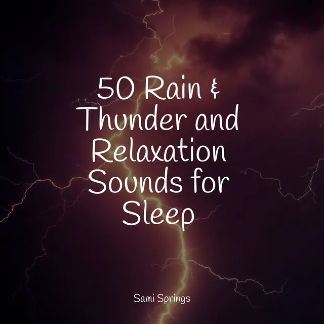 50 Rain & Thunder and Relaxation Sounds for Sleep