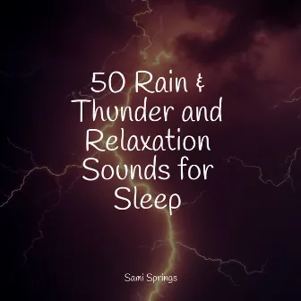 50 Rain & Thunder and Relaxation Sounds for Sleep by Active Baby Music Workshop