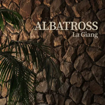 ALBATROSS by La Giang