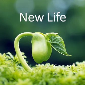 New life by URE Relaxing