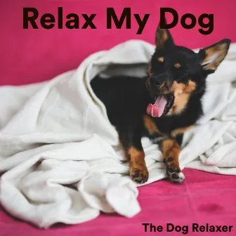 Relax My Dog by The Dog Relaxer