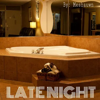 Late Night by Meshauwn