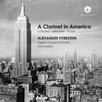 A Clarinet in America by Chris Hopkins