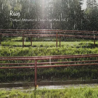 Rain: Tranquil Ambiance to Focus Your Mind Vol. 1 by Nature Label