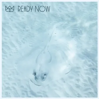 Ready Now by The Cat Empire