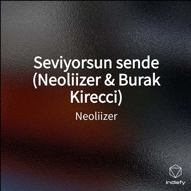 Seviyorsun sende (Neoliizer & Burak Kirecci)