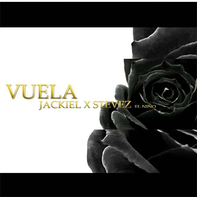 VUELA