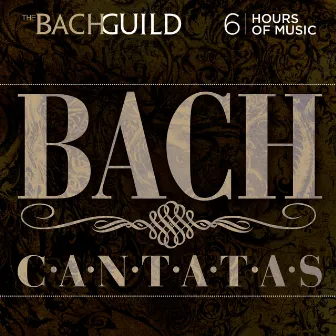 Bach: Cantatas (A Big BACH GUILD Set) by Johannes Somary