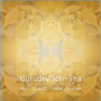 Gurudev Namaha by Prem Jitendra