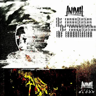 The Consultation by Animal