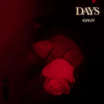 Days by norhvn